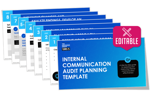 IC_Audit_template_visual